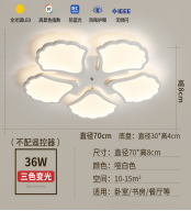 light light