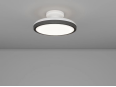 light light
